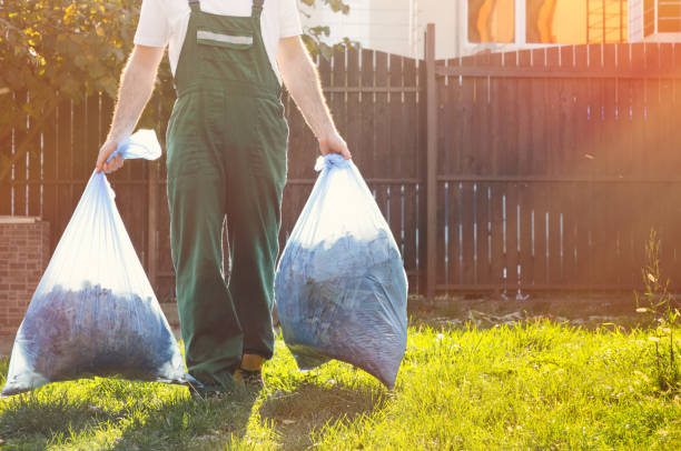 Yard Cleanup Services in Pleasant Hill, OH